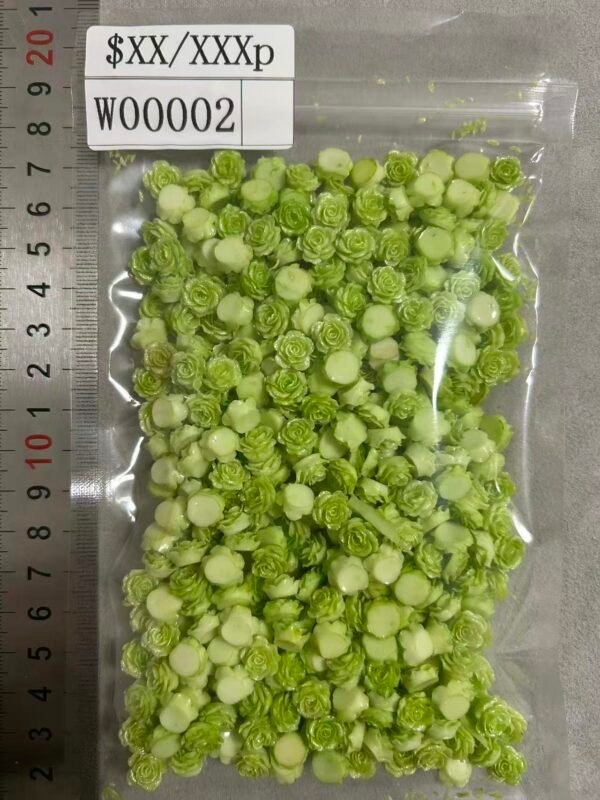 W00002 soft_flower_small